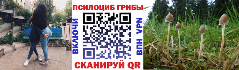 Псилоцибиновые грибы Cubensis  hydra ССЫЛКА  Гусь-Хрустальный 
