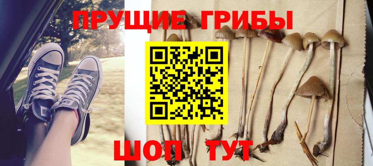 Псилоцибиновые грибы мухоморы  Галлюциногенные грибы мицелий  купить наркотик  Вход с VPN  Гусь-Хрустальный 