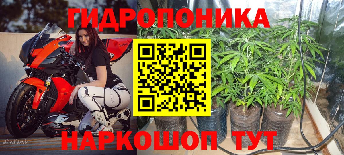 Конопля AK-47  Вход с VPN  Гусь-Хрустальный  Бошки Шишки Amnesia  Марихуана AK-47 